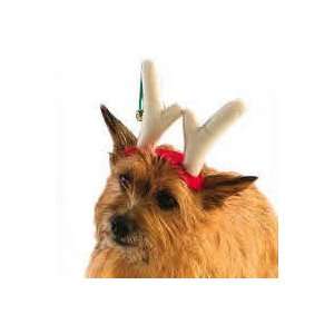  Reindeer Antlers: Pet Supplies