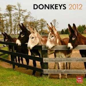 Donkeys 2012 Wall Calendar 12 X 12