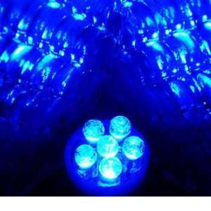  168 6 LED 2 Bulb Set  Color: Blue: Automotive
