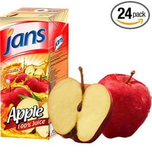 Jans Apple Juice, 8.45 Ounce (Pack of 24)  Grocery 