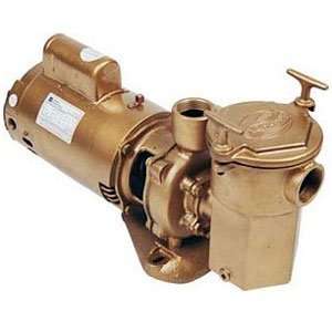  Commercial Bronze In Ground Pool Pump 1 1/2 HP