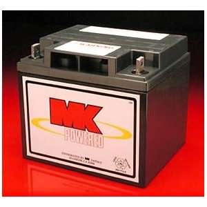  40 Amp Sealed AGM Battery: Health & Personal Care