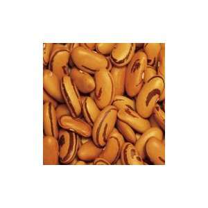 Tigers Eye Bush Bean   25 lb. Grocery & Gourmet Food