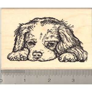  Cavalier King Charles Spaniel Dog Rubber Stamp: Arts 