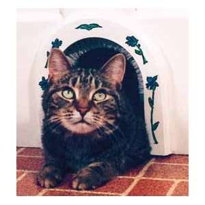  CATHOLE   Cat Door Arch: Pet Supplies