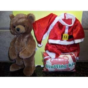  Build Your Own CHRISTMAS TEDDY BEAR Plush: Toys & Games