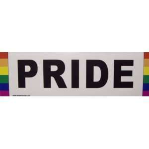 3x11 Vinyl Hippie Pride Peace Love Coexist Awareness Sticker Stickers 