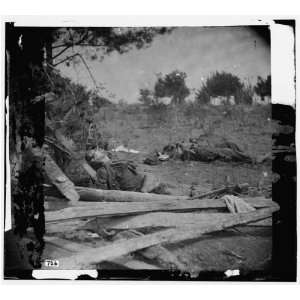   Bodies of Confederate soldiers near Mrs. Alsops house: Home & Kitchen