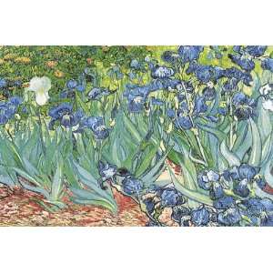  HUGE LAMINATED / ENCAPSULATED Van Gogh  Iris POSTER 