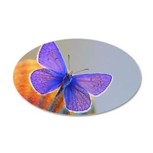   38.5x24.5O Wall Vinyl Sticker Xerces Purple Butterfly 