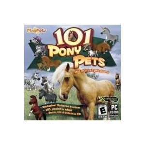   Play Pets 101 Pony Pets Educational Computer Software G Toys & Games