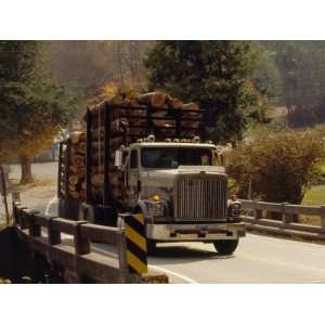  Logs are Hauled Out of Jefferson National Forest Stretched 