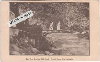 1908 FOREST HOME, CA, MILL CREEK SCENE POSTCARD  