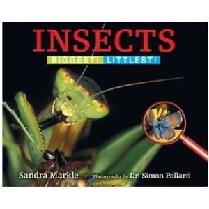  Essential Learning Products 8872 Insects   Biggest 