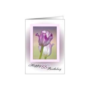 88th Birthday ~ Pink Ribbon Tulips Card: Toys & Games