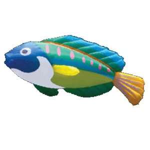  fish chime   peacock wrasse