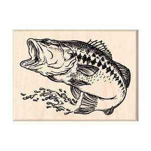   Stamp CC Large Mouth Bass STAMPCC 95130; 2 Items/Order: Home & Kitchen