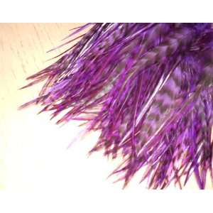  Purple Grizzly Feather Hair Extensions: Beauty