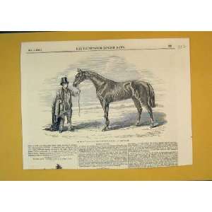 1845 Race Horse My Mary Yorkshire Handicap Doncaster