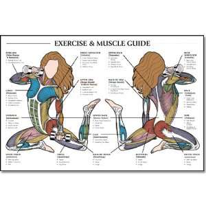  Female Exercise & Muscle Guide: Sports & Outdoors