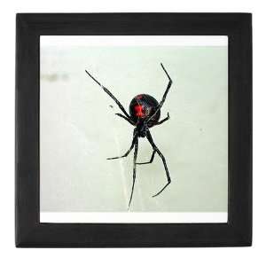  Black Widow Black widow spider Keepsake Box by CafePress 