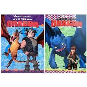   Train your Dragon Coloring and Activity Books (2 Books): Toys & Games