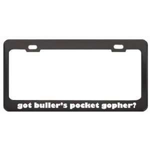 Got BullerS Pocket Gopher? Animals Pets Black Metal License Plate 