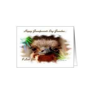  Grandparents Day ~ Grandma ~ Baby Ostrich Card Health 