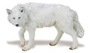 WHITE WOLF; toy/replica/Arctic/wolves/Safari Ltd  