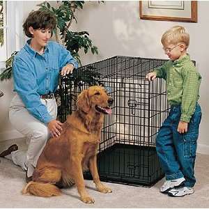  Midwest Life Stages Dog Crate LS 1642 42L X 28W X 31H: Pet 