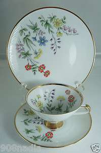   FOOTED CUP,SAUCER,PLATE TRIO FIELD FLOWERS WINTERLING BAVARIA  