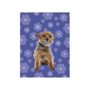    Yorkshire Terrier Boxed Blank Notecards