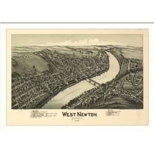 Historic West Newton, Pennsylvania, c. 1900 (L) Panoramic Map Poster 