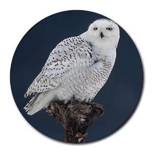  Snow Owl Round Mousepad Mouse Pad Great Gift Idea Office 