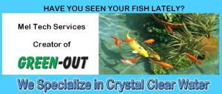 Green Out Koi Ponds Cleaning & Water Treatment Gal.  