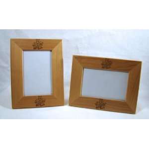  Albany River Rats Classic 4x6 Picture Frame Sports 