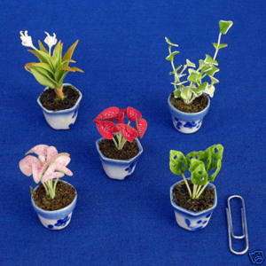 WIDE VARIETY OF MINIATURE CLAY FOLIAGE PLANT   T46A  