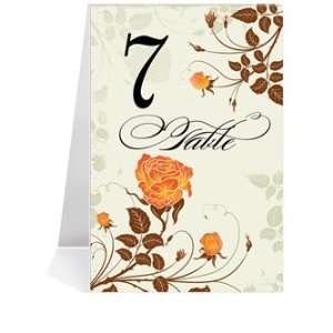   Number Cards   Vivid Rose Chocolate Splendor #1 Thru #44 Office