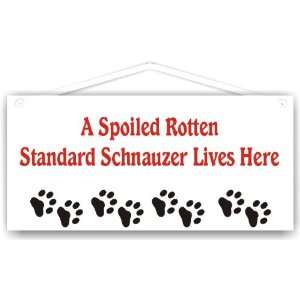  A Spoiled Rotten Standard Schnauzer Lives Here Everything 