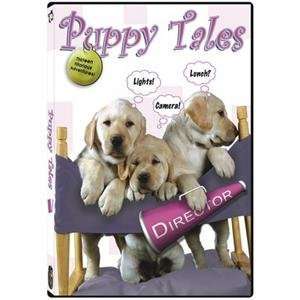  S&S Worldwide Puppy Tales Ambient Dvd Toys & Games