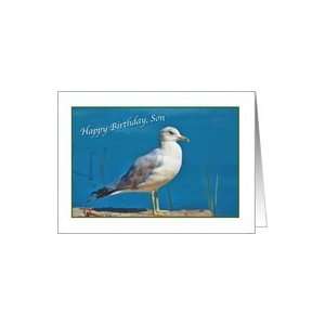  Sons Birthday Card with Ring billed Gull Bird Card Toys & Games