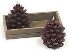 Rustic Woodland Glittered Pinecone Holiday Candles  