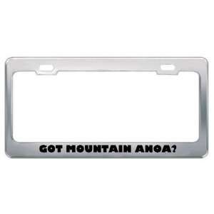  Got Mountain Anoa? Animals Pets Metal License Plate Frame 