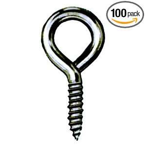 Hindley 5/16 X 4 Stainless Steel Lag Eye Bolts Screw Thread Sold in 