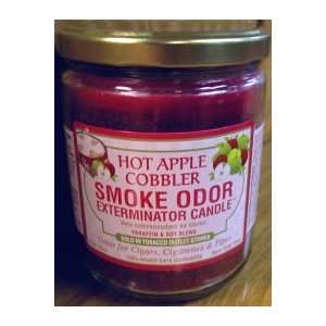    Odor Exterminator Candle Hot Apple Cobbler 13oz: Home & Kitchen