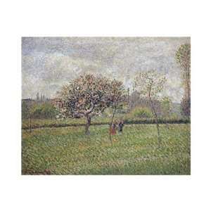  Apple Tree Blossom at Eragny by Camille Pissarro . Art 