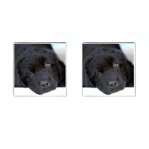  Newfoundland Puppy Dog 3 Square Cufflinks F0733 