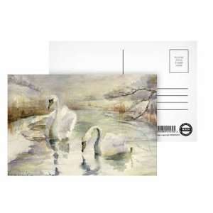  Swans in Winter by Karen Armitage   Postcard (Pack of 8 