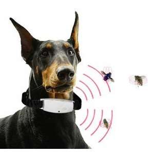  Kolbu SuviaTM Ultrasonic Pest Repeller, Ideal for Dogs 