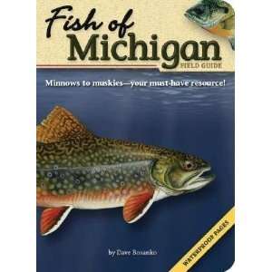  Fish of Michigan Field Guide [FISH OF MICHIGAN FIELD GD 